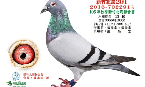 伏神木的功效和作用主治是什么-伏神木的功效网 :分享伏神木的功效和作用主治是什么-伏神木功效与作用禁忌知识