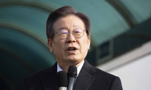 伏神木功效与作用主要治什么病症-伏神木的功效网 :分享伏神木的功效和作用主治是什么-伏神木功效与作用禁忌知识