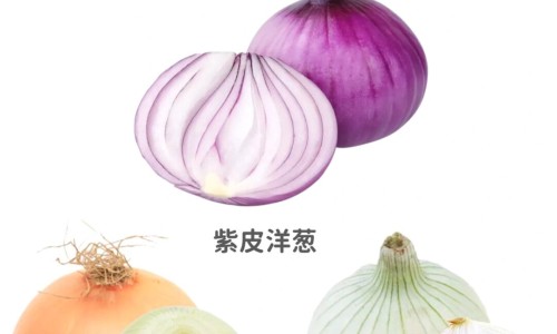 伏神木的功效网 :分享伏神木的功效和作用主治是什么-伏神木功效与作用禁忌知识